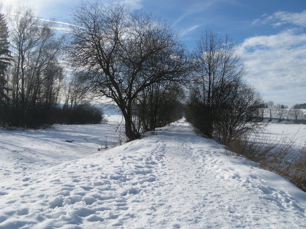 Bahndamm im Winter
