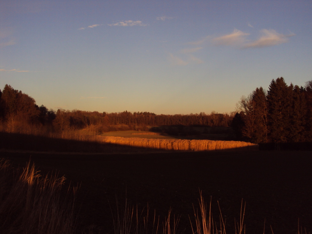 Abendstimmung zwischen Wetterling und Haslach