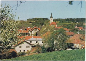k-Gl325-17 v Bern Feld