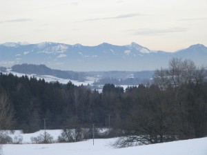 IMG_3984        