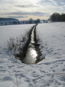 Brucker Moor 1       